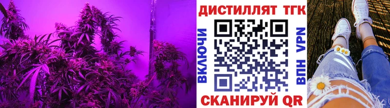 Дистиллят ТГК концентрат  Купить закладки  Ясный 