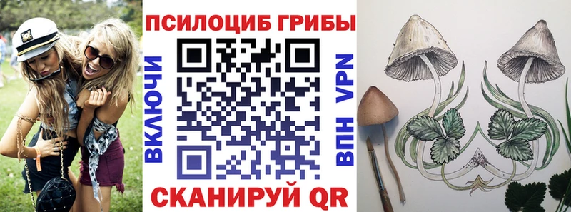 Галлюциногенные грибы Psilocybe  Купить  Ясный 